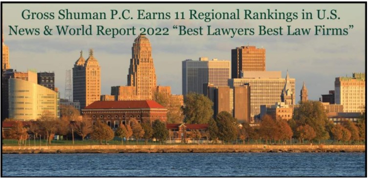 Commercial Litigation Lawyer in Toronto, ON
